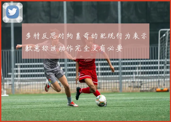 多特反思对约基奇的犯规行为表示歉意称该动作完全没有必要