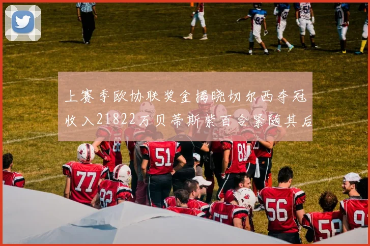 上赛季欧协联奖金揭晓切尔西夺冠收入21822万贝蒂斯紫百合紧随其后